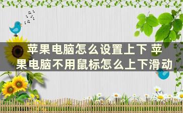 苹果电脑怎么设置上下 苹果电脑不用鼠标怎么上下滑动